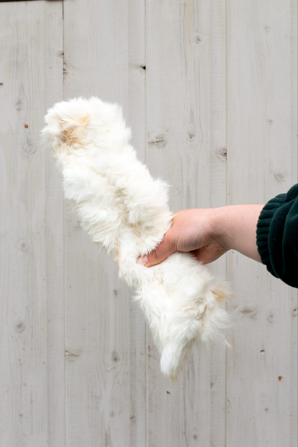 XL Rabbit Skin with fur