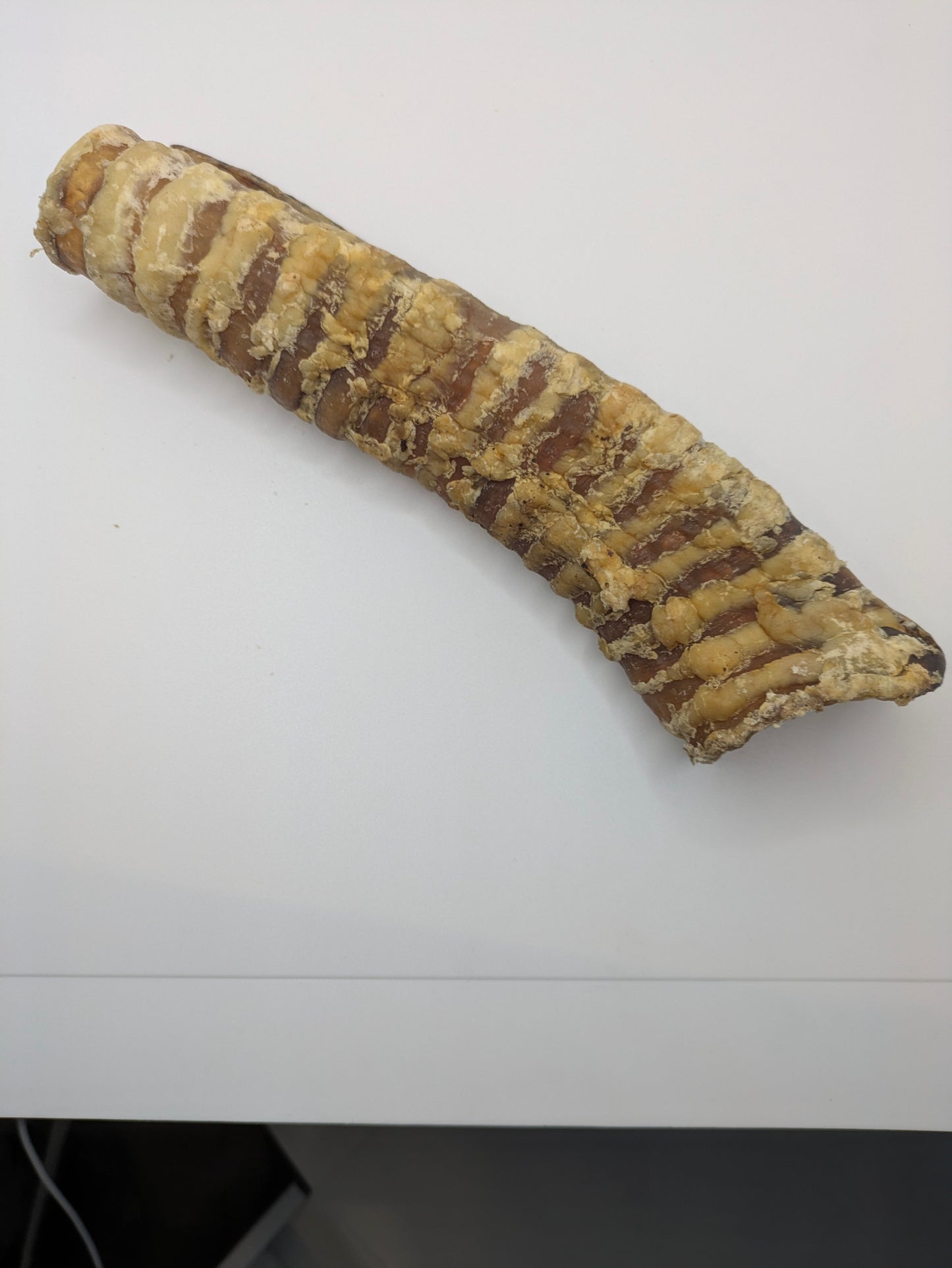 Beef Trachea
