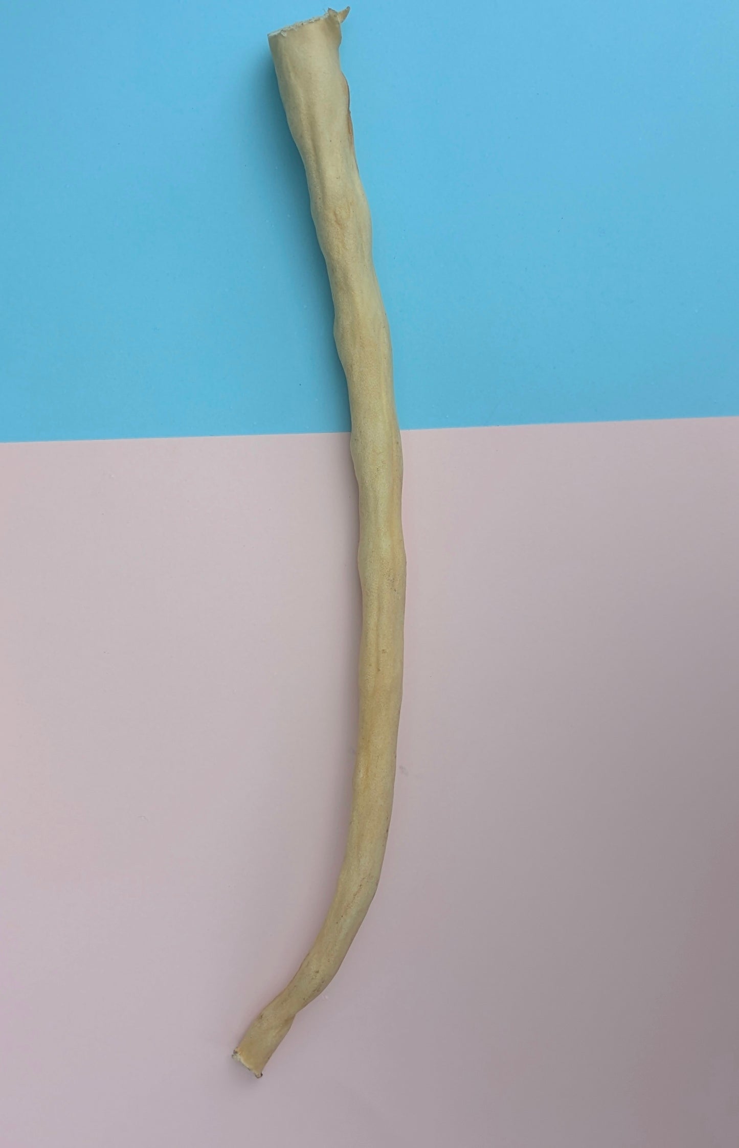 Buffalo Tail
