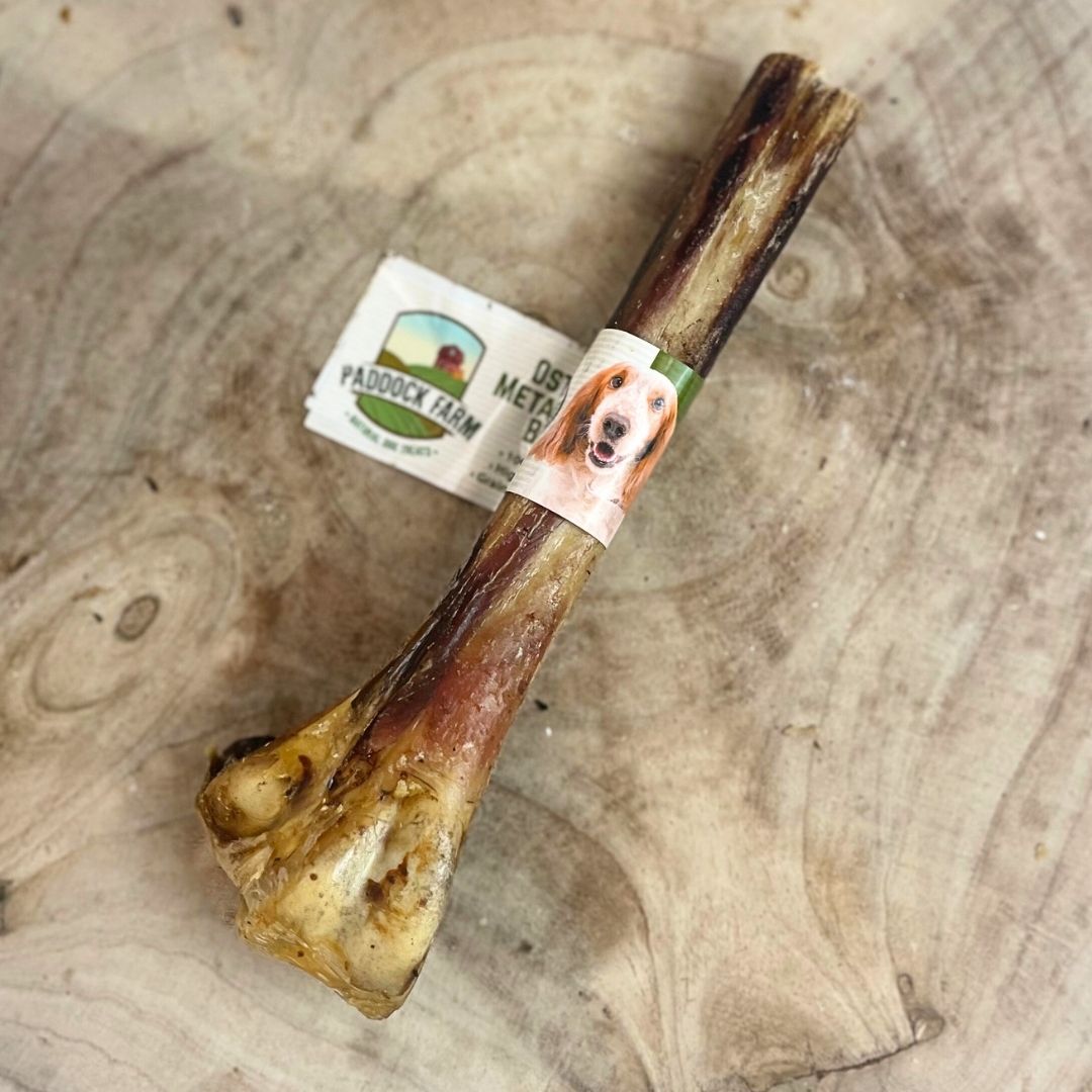 Ostrich bone