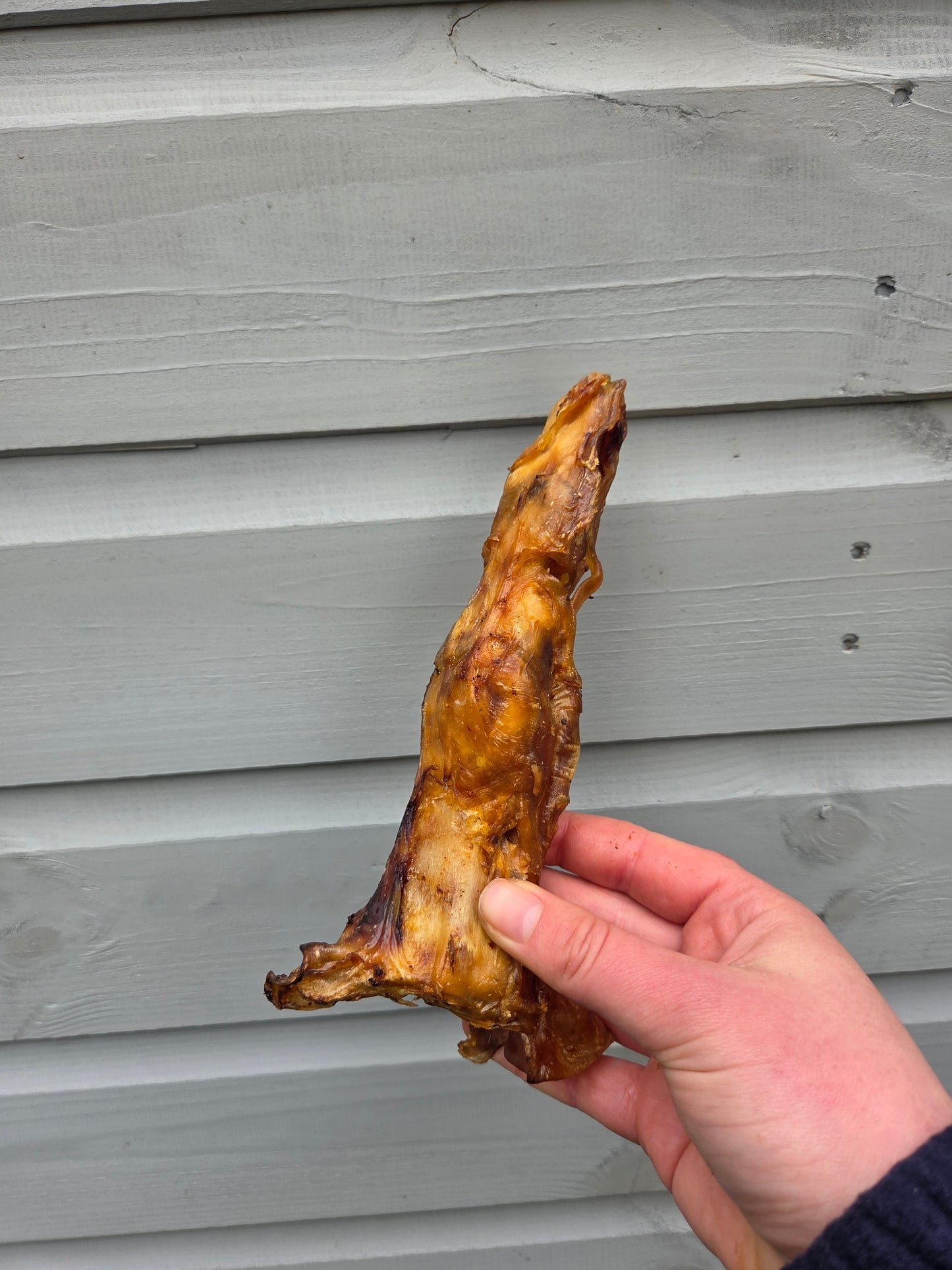 Ostrich Foot