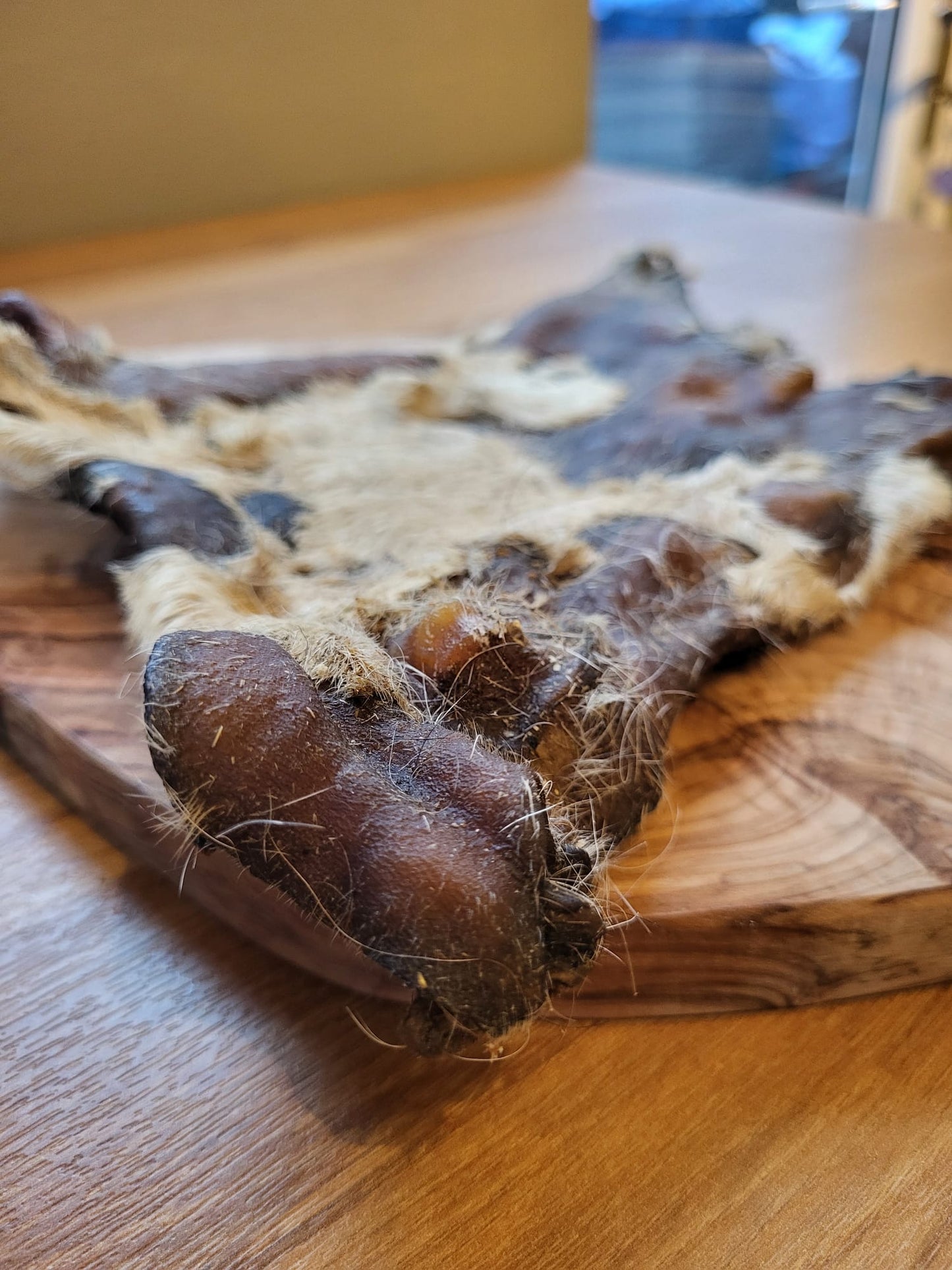 XL Beef (Bark) Skin with hair