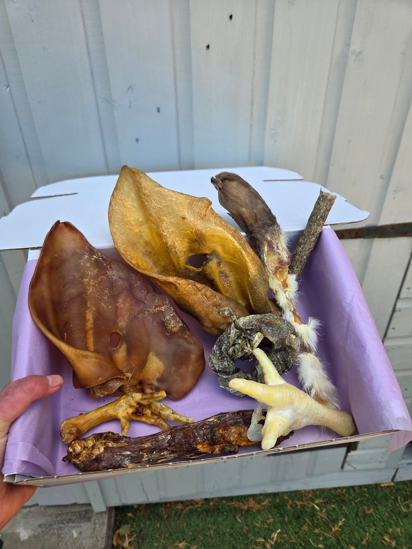 Starter Treat Box