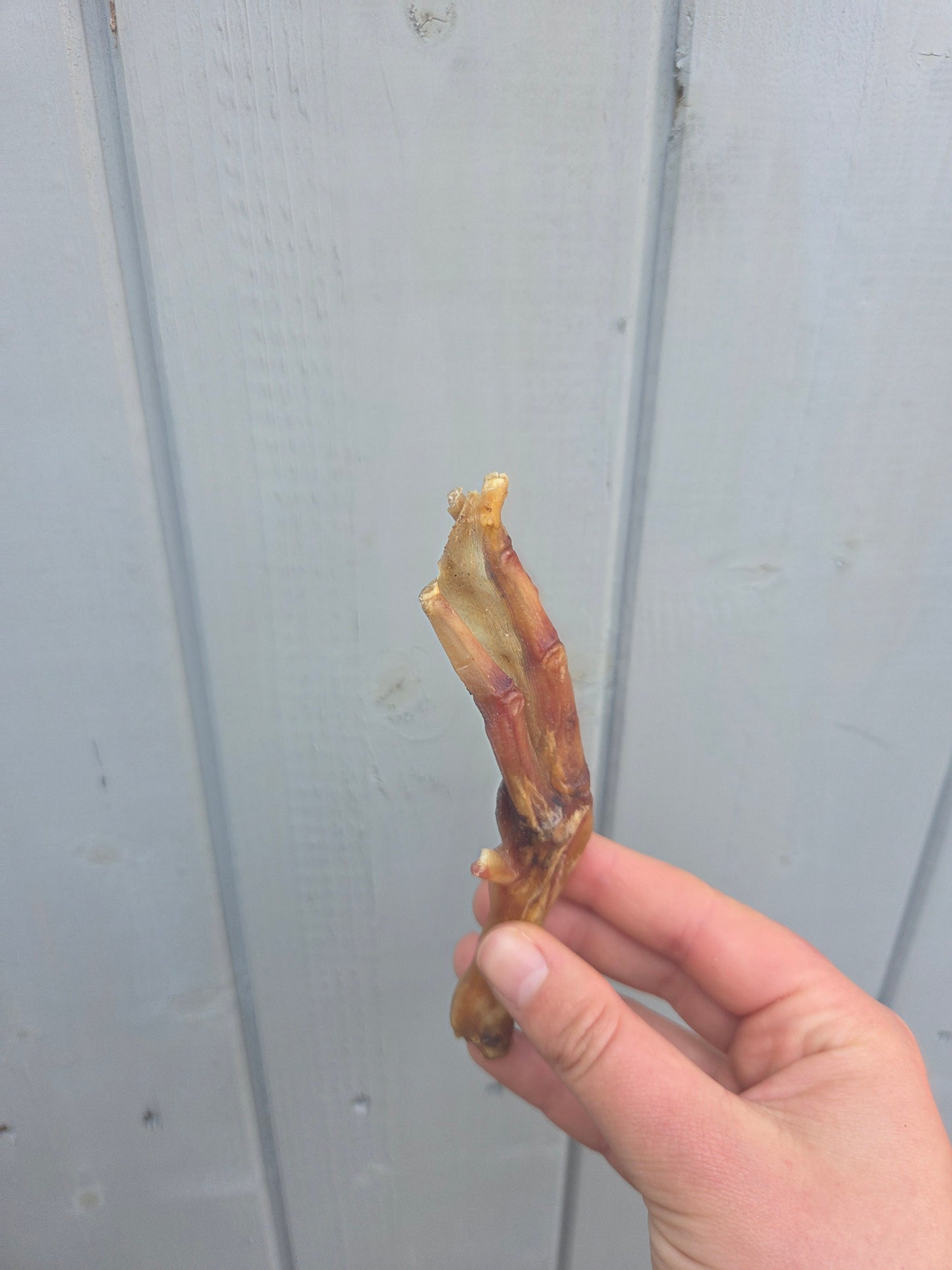 Duck Feet - Natural Dog Treat