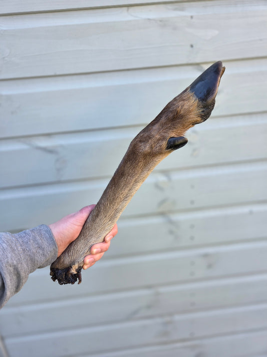 XL Deer Leg