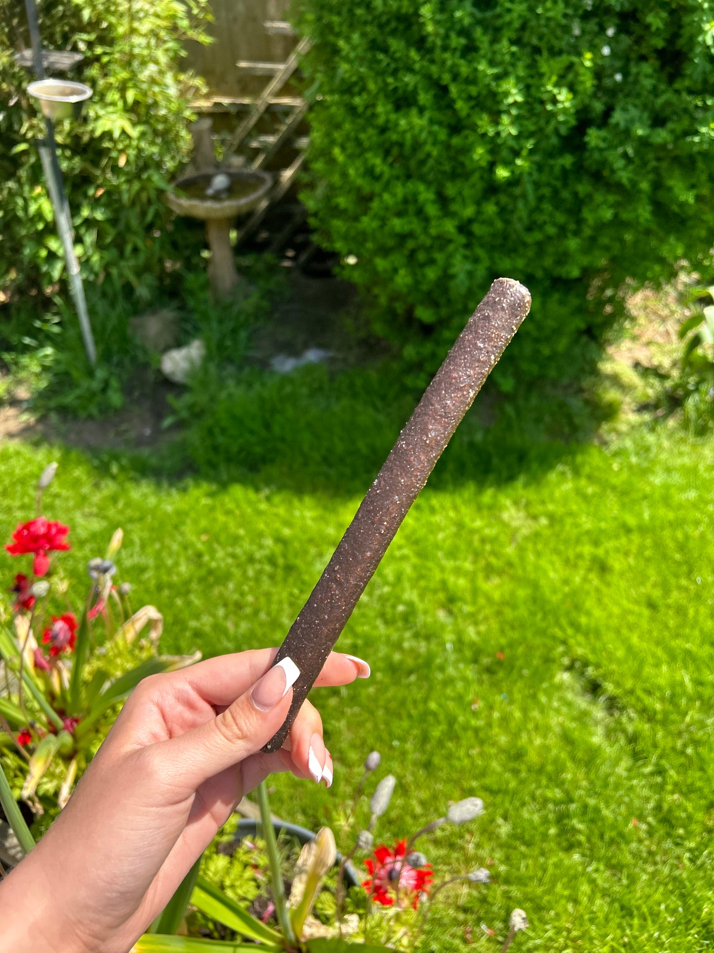 Long Black pudding sausage