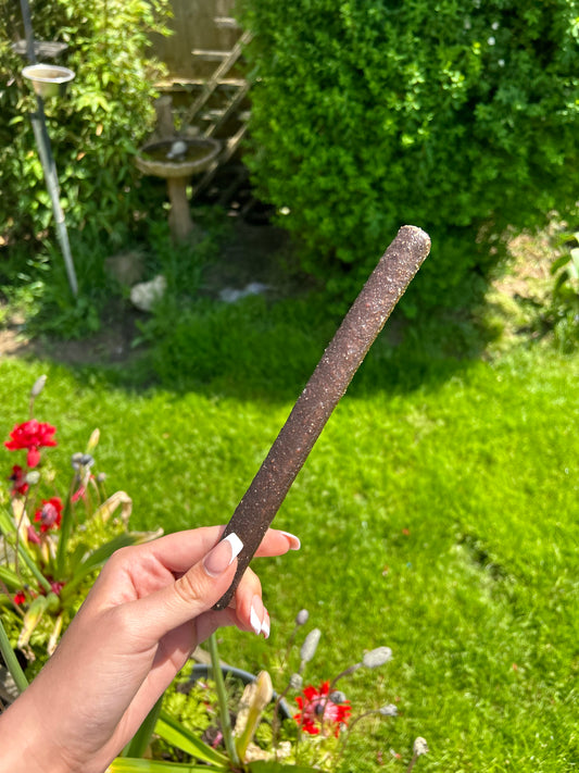 Long Black pudding sausage