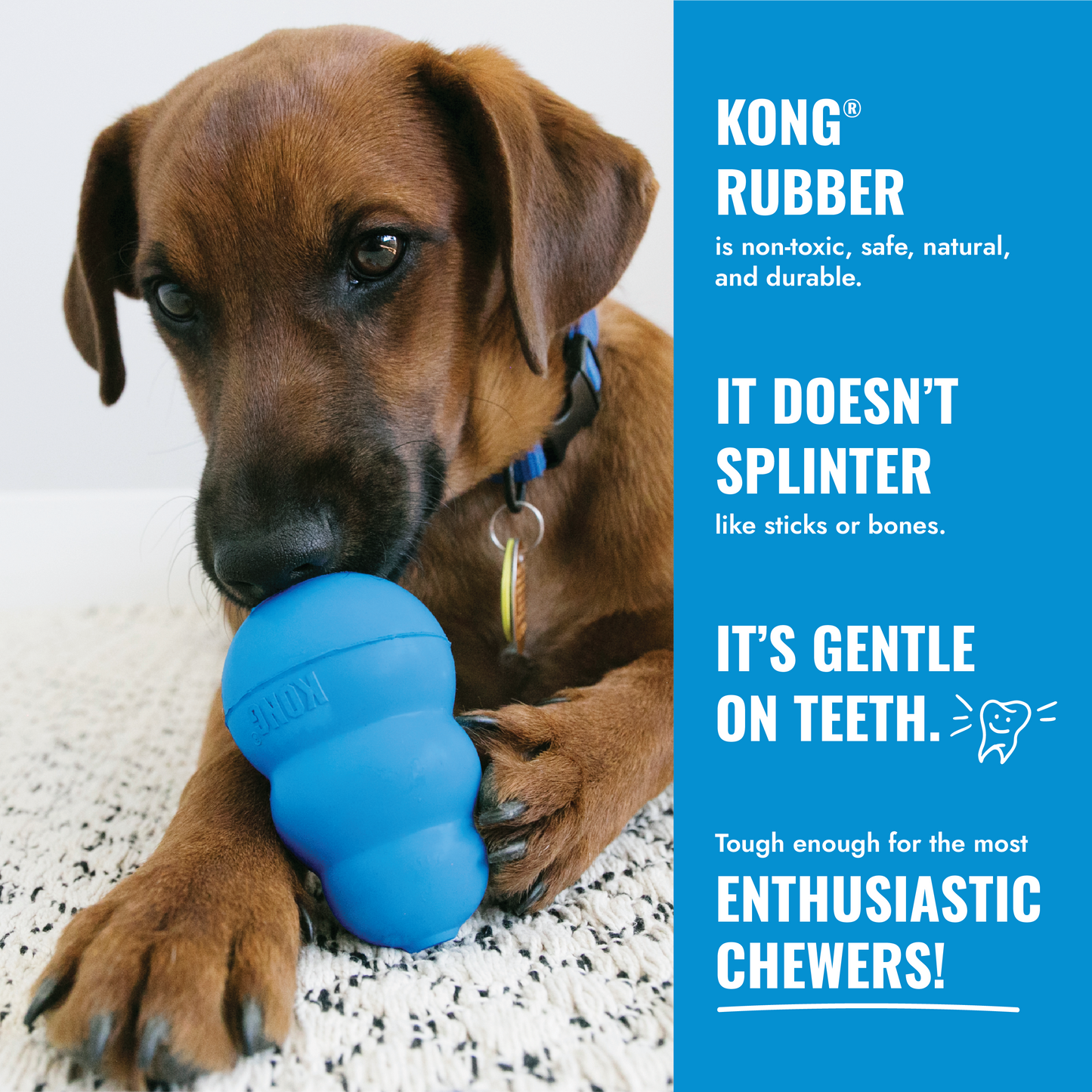 KONG Puppy