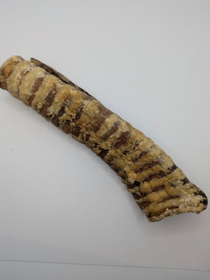 Beef Trachea