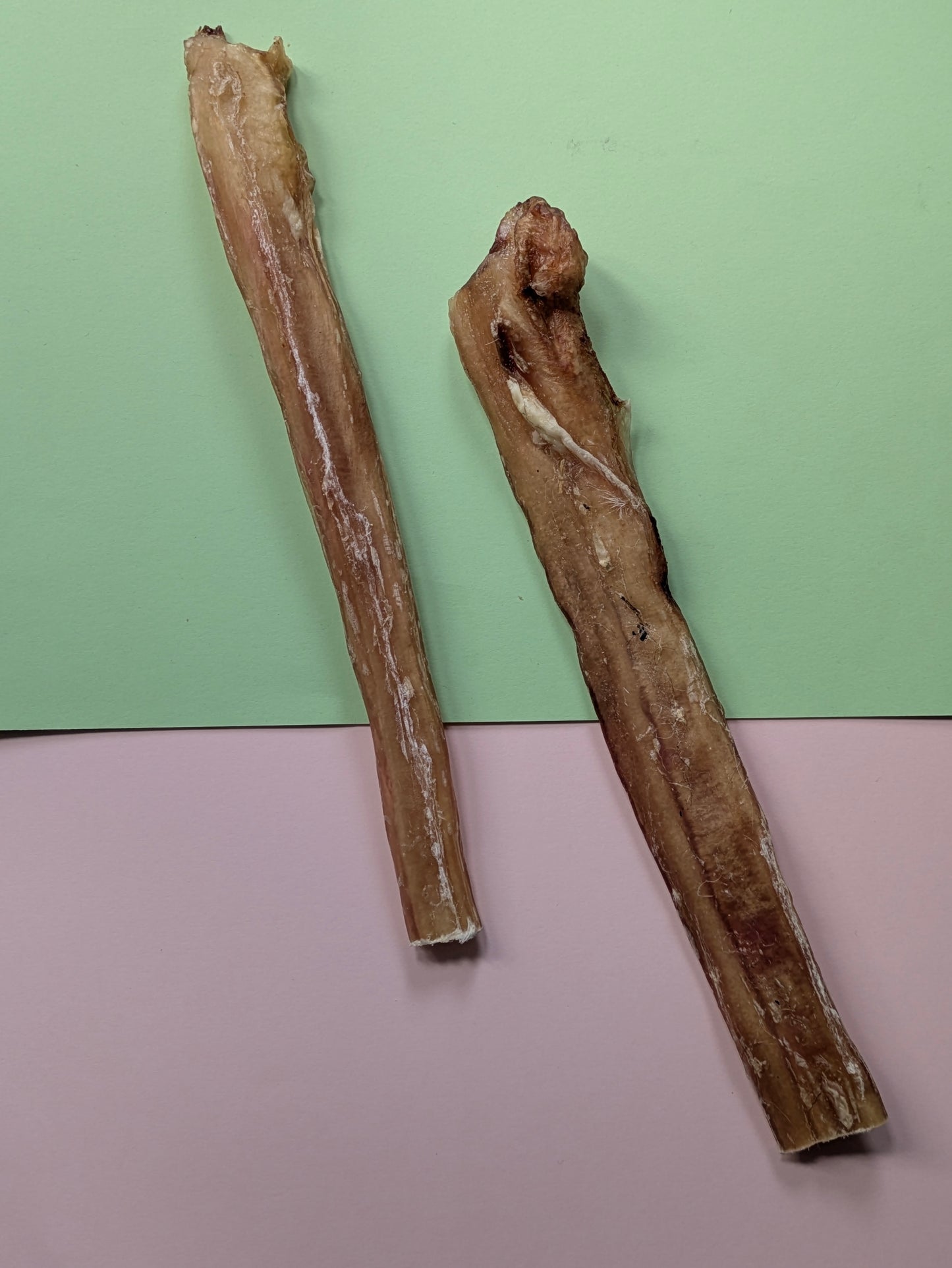 Beef Pizzle 24cm Large