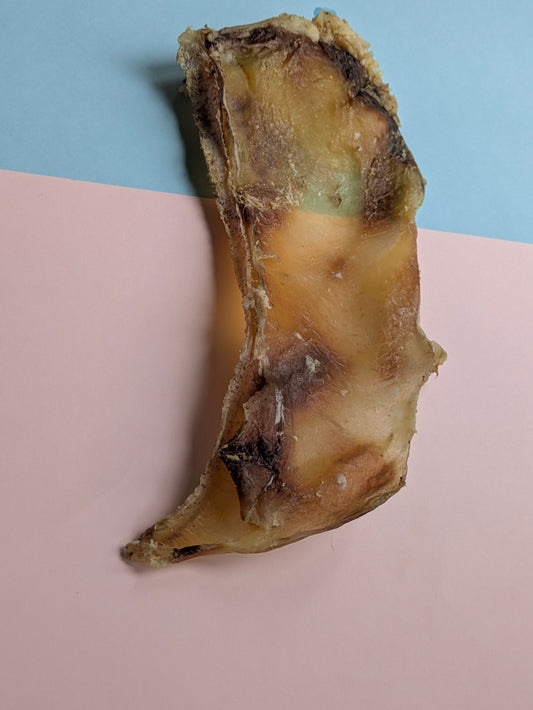 Moon Bone