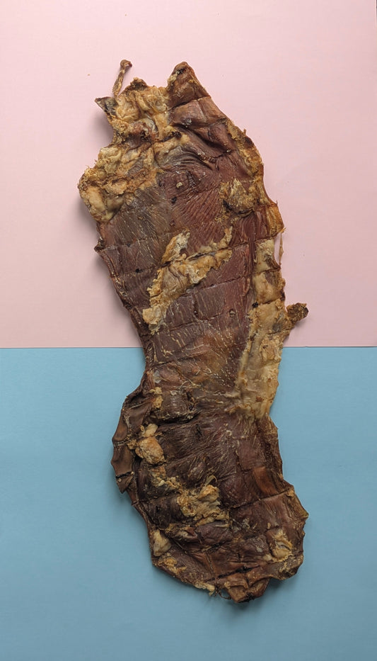 Pork Stomach