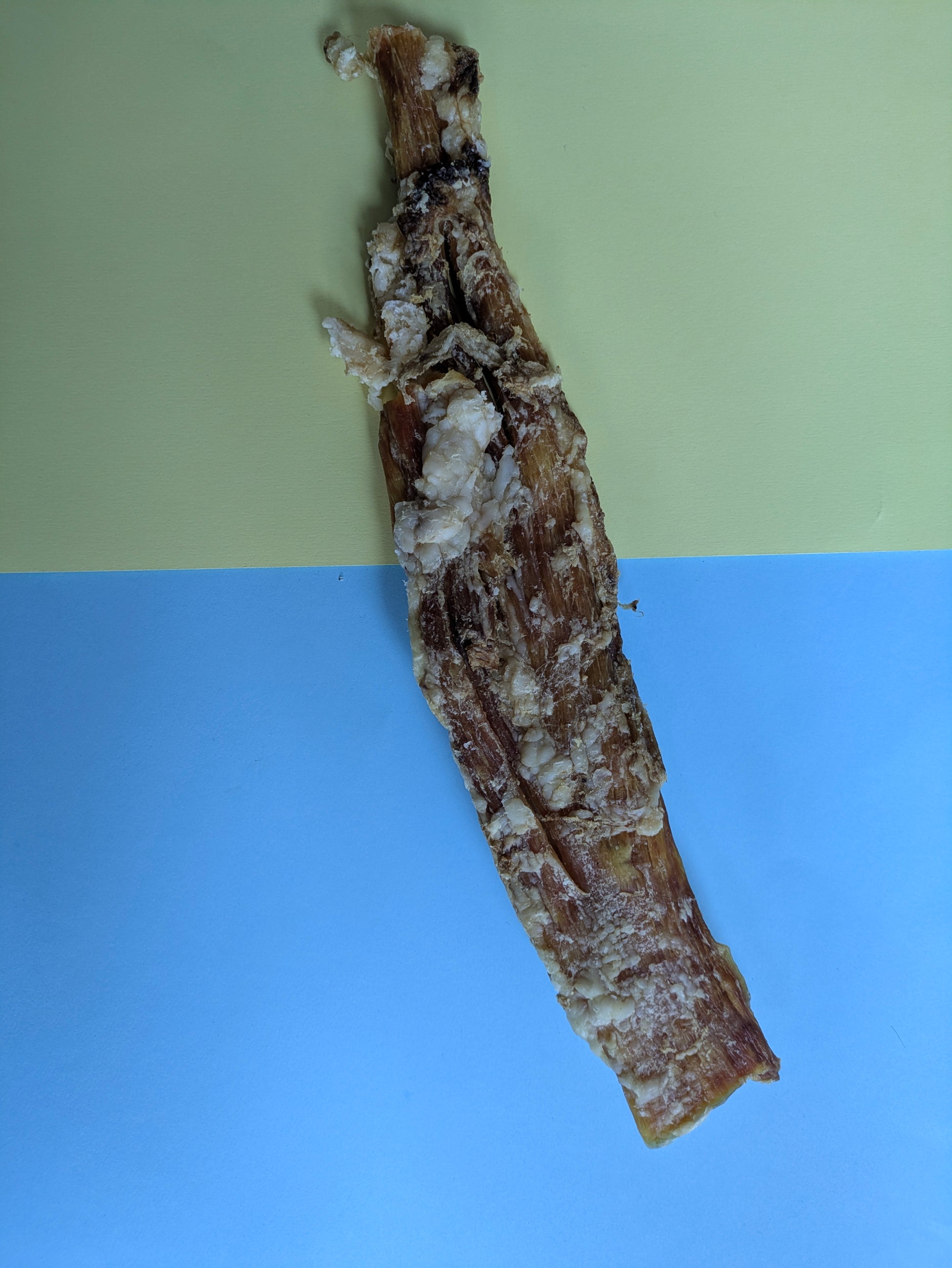 Beef paddywack natural dog treat on colourful background