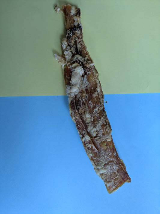 Beef paddywack natural dog treat on colourful background