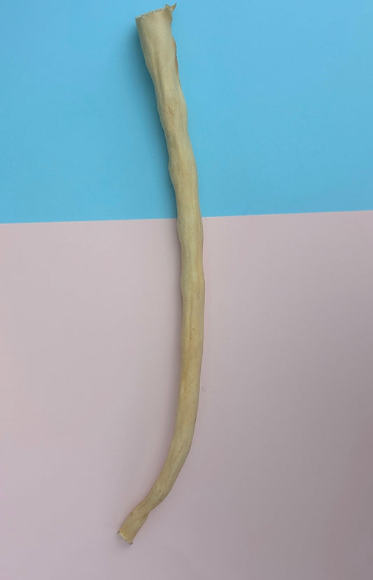Buffalo Tail