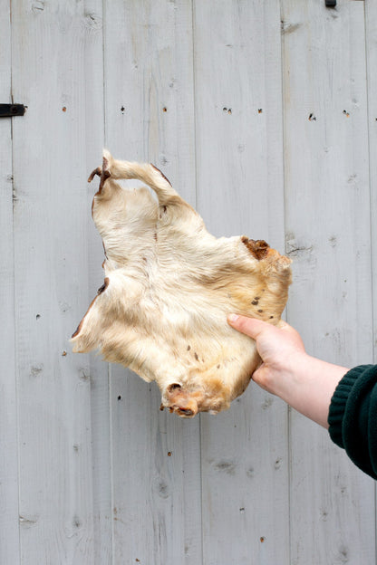 XL Beef (Bark) Skin with hair