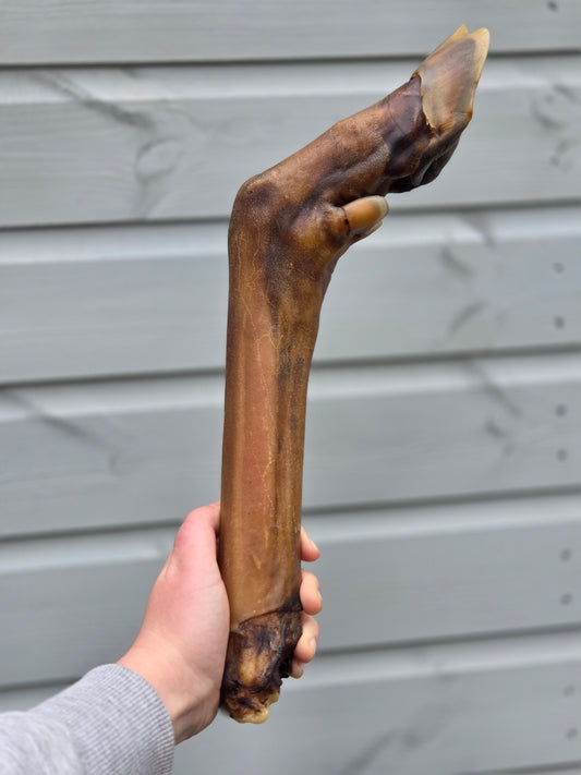 XL Deer Leg