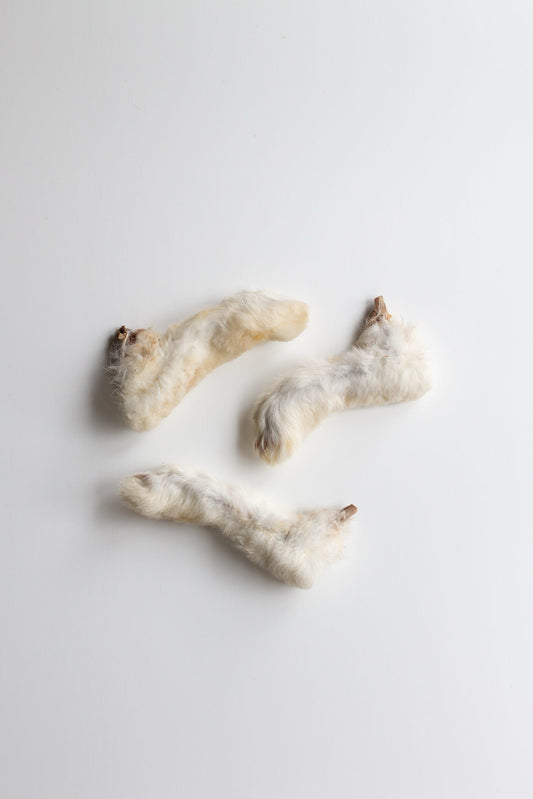 Hairy Rabbit Feet