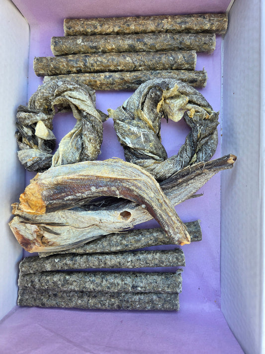 Fish Treat Box