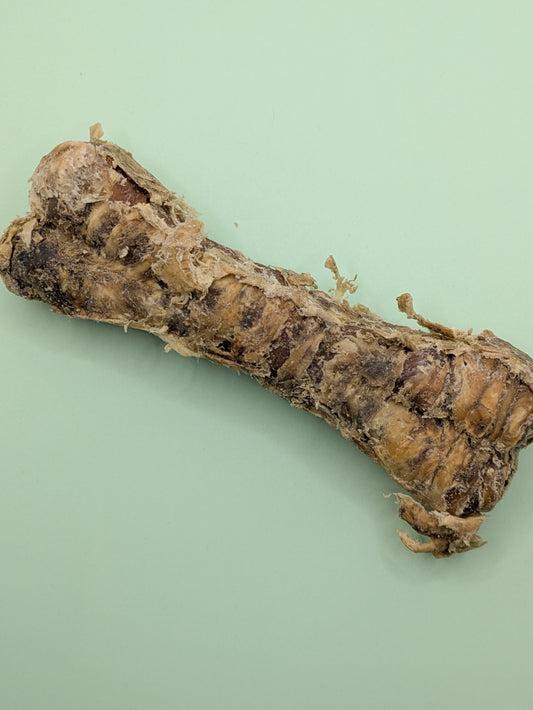 Buffalo Trachea Bone - Natural Dog Treat