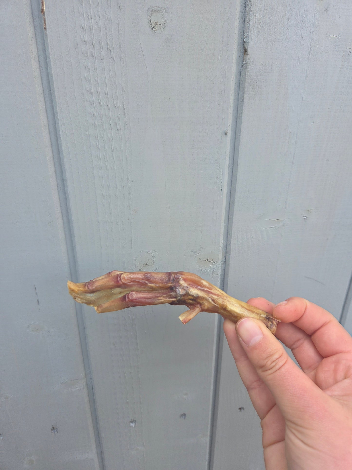 Duck Feet - Natural Dog Treat