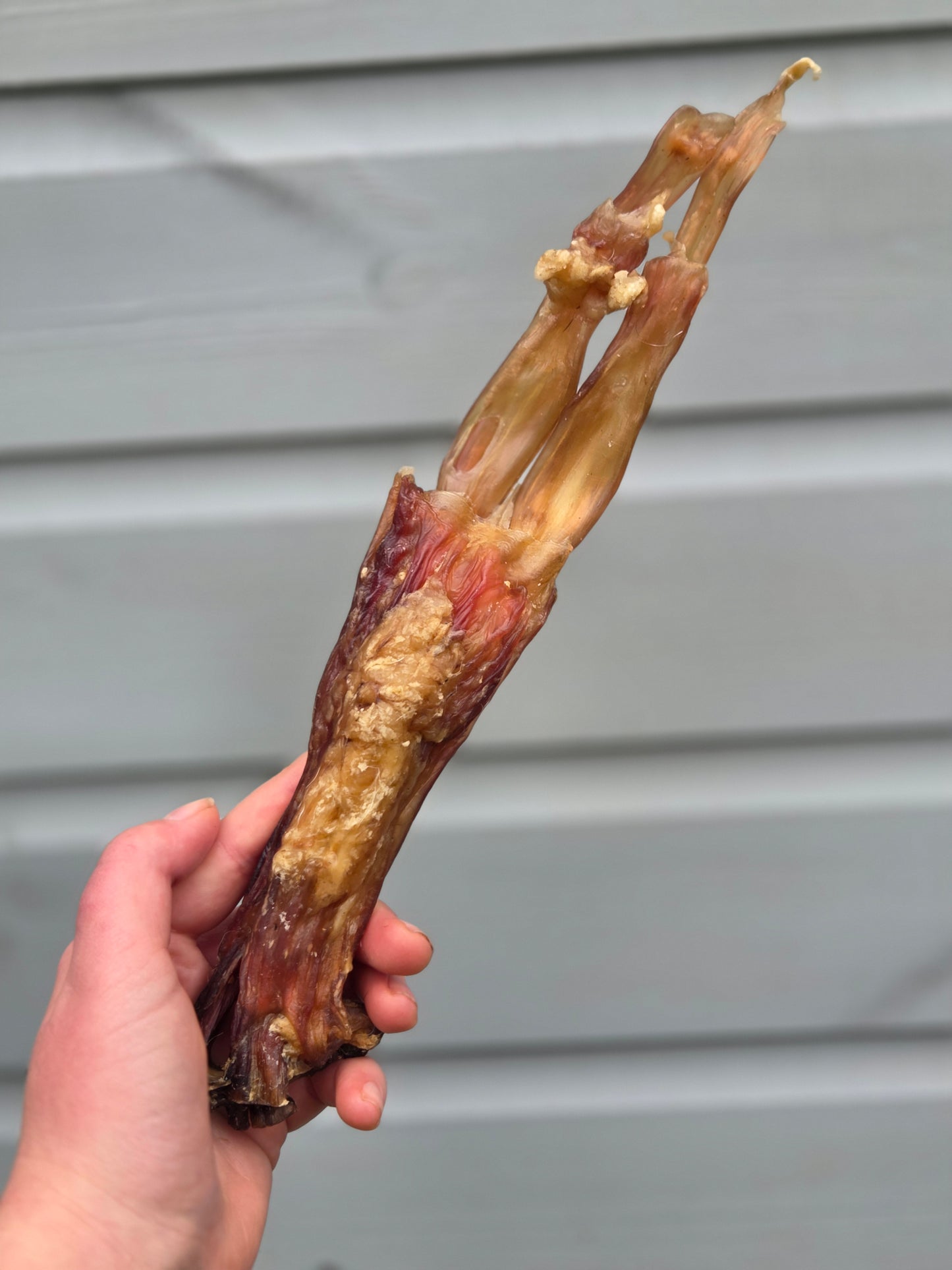 Beef Archilles Tendon