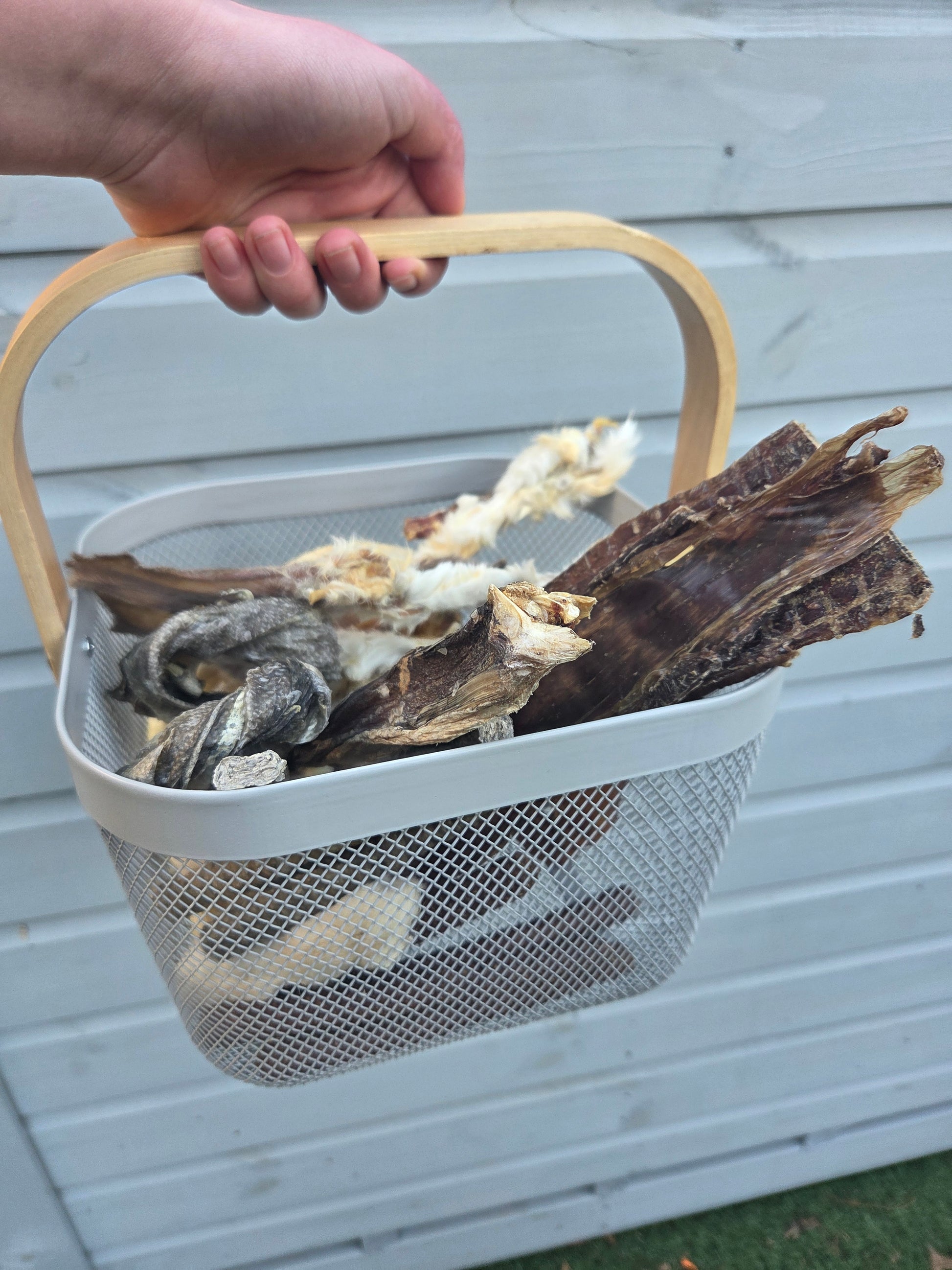 monthly dog natural treat subscription box