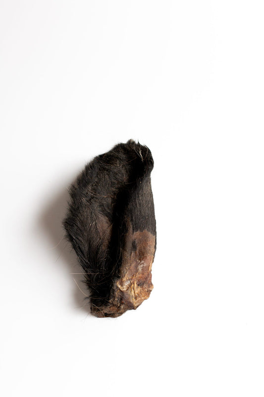 Hairy Cow Ear