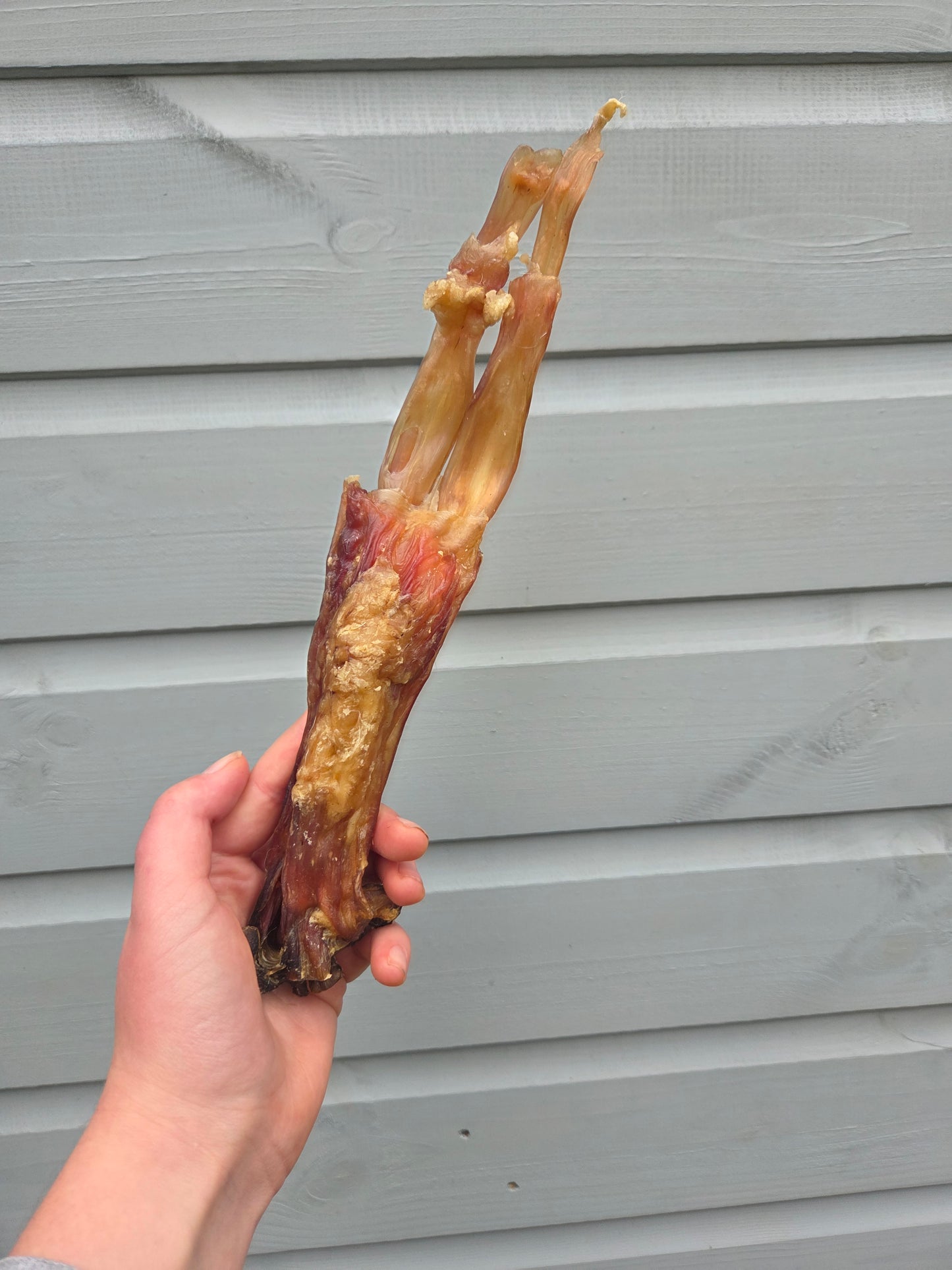 Beef Archilles Tendon