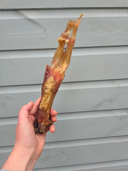 Beef Archilles Tendon