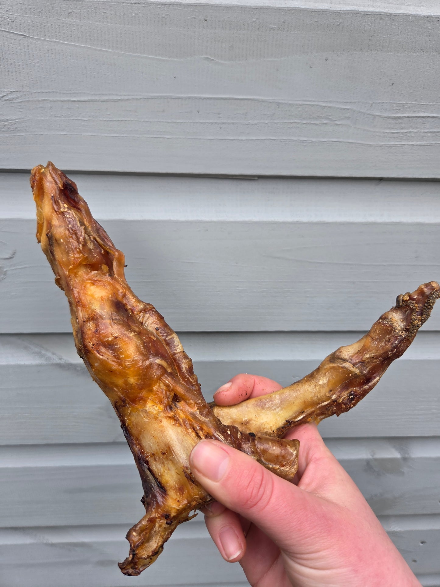 Ostrich Foot