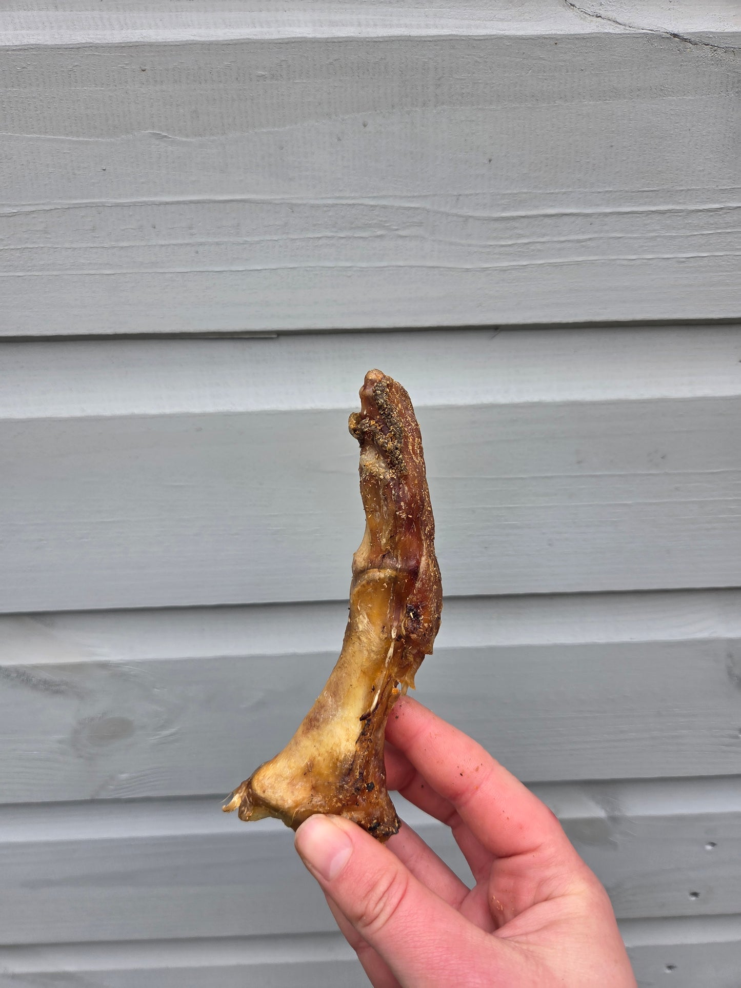 Ostrich Foot