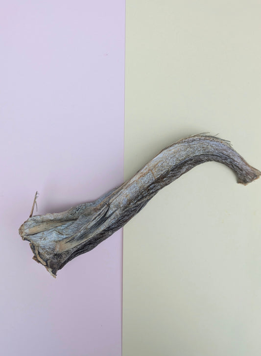 Dried Hake Slice