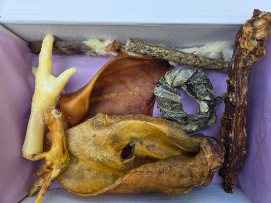 Starter Treat Box